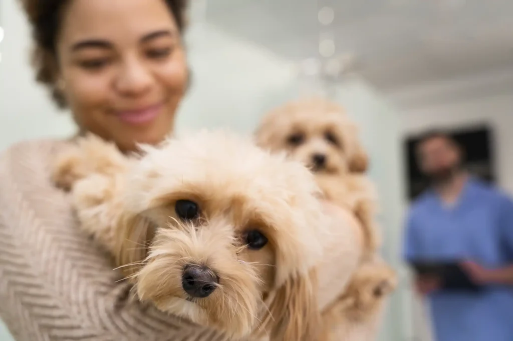 Vet holding a dog